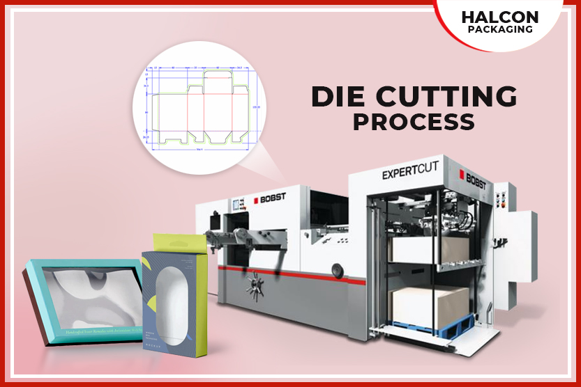 What Is It Importance In The Die Cutting Process?